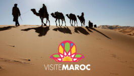 grossiste visite maroc