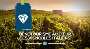 Oenotourisme au cœur des vignobles Italiens