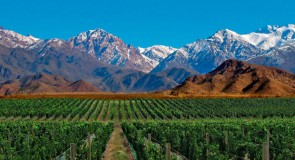 Découvrir l’Argentine autrement: fête des vendanges de Mendoza