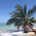 nature et calme sur les plages du costa rica