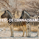 test de connaissances generales April Fortier