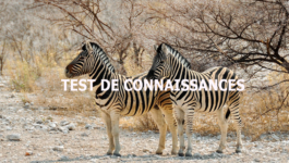 test de connaissances generales April Fortier