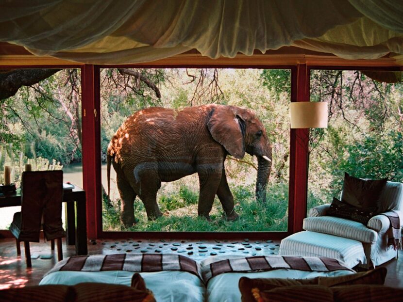 dormir avec les elephant au makanyane safari lodge