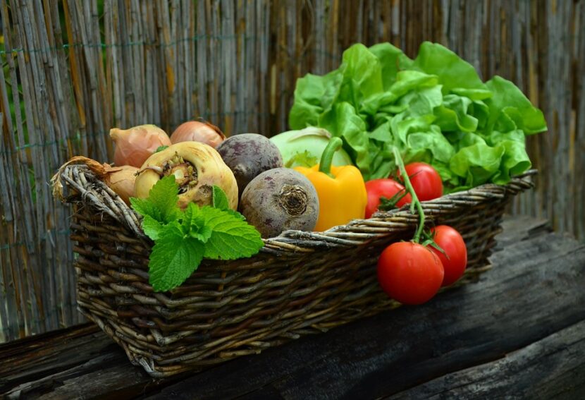 aliments a eviter avant de prendre l avion