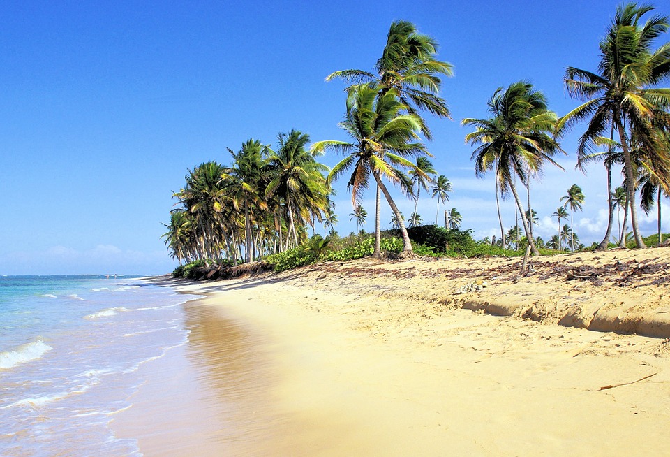 bavaro plage republique dominicaine punta cana