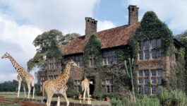 manoir au girafe