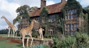 [ÉDUCOTOUR] Safari au Kenya avec Tourcan Vacations