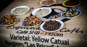 Nicaragua : La Route du café, nouvel attrait touristique !