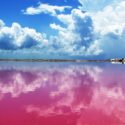 las coloradas lagon rose au mexique