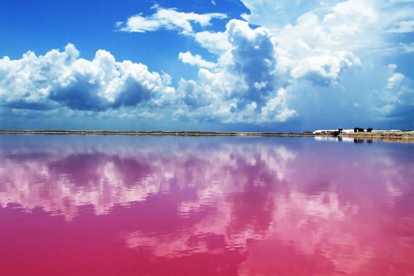 las coloradas lagon rose au mexique