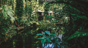 [TOP] Les plus beaux hôtels dans la jungle!