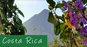 Profiter pleinement de 48 Heures au Costa Rica