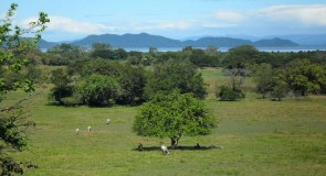 La péninsule de Nicoya, un paradis Costa Ricain