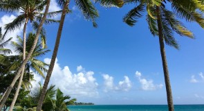 Visiter la Martinique : que faire et que voir sur l’île aux fleurs ?