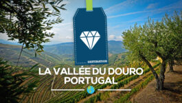 la Vallée du Douro