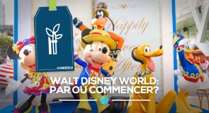 [Conseils] Première visite à Walt Disney World: par où commencer?