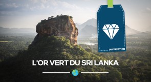 L’or vert du [Sri Lanka]