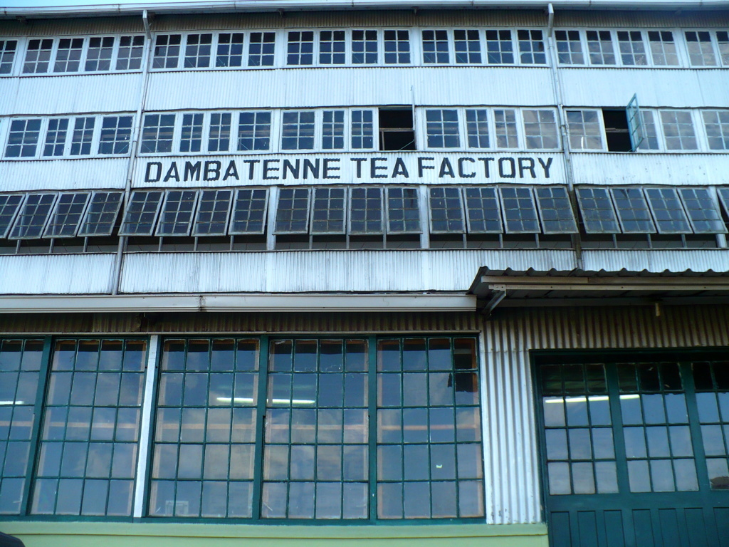 usine lipton dambatenne thé sri lanka