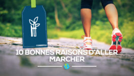 CONSEILS_MARCHE