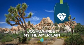 [Joshua Tree] Mythe californien