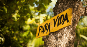 C’est toujours la « Pura Vida » au Costa Rica