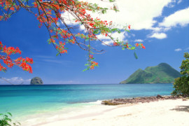 En attendant la reprise des activités en Martinique, voici ce qu’il faut savoir!