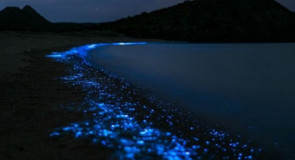 Mexique: des vagues bleues néon se brisent sur une plage, un phénomène non observé depuis 60 ans