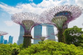 [Coronavirus] Le résumé des nouvelles du jour (21 avril 2020) : Caribe Sol, MSC, Airbus, G Adventures, Singapour, Marriott, Disney, Italie …