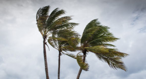 Les touristes de Cancun se réfugient alors que l’ouragan Delta frappe le Yucatan